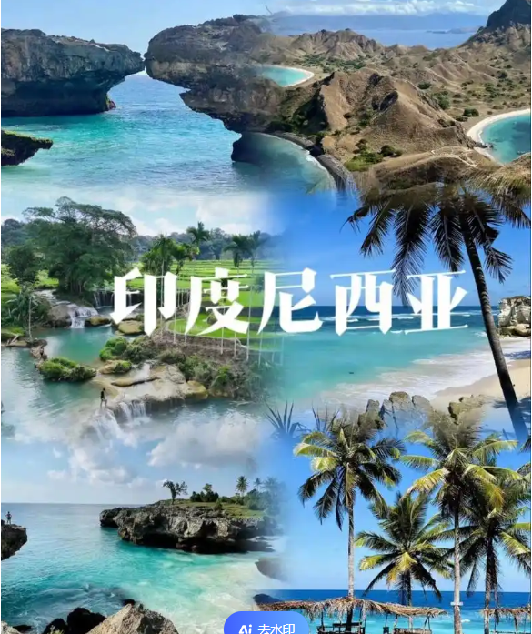 电商(印尼)产业博览会新葡京2025中国国际(图2)