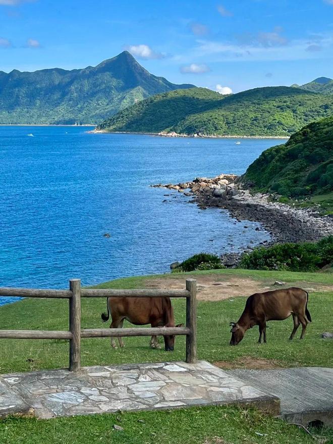 二段徒步露营、打卡网红破边洲、游览塔门岛澳门新葡京深港跨年徒步丨香港麦理浩径第(图9)