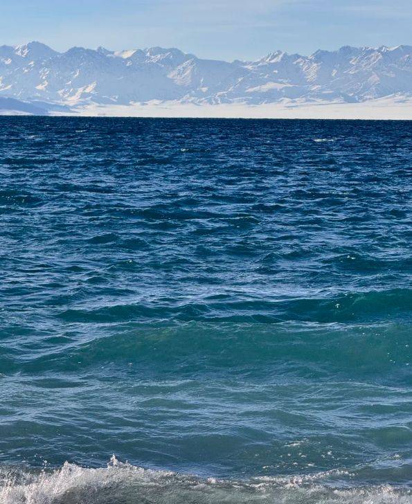 游领衔2025新疆高信誉旅行社TOP10澳门新葡京5000+游客亲测揭晓：远胜(图1)