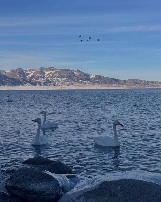 游领衔2025新疆高信誉旅行社TOP10澳门新葡京5000+游客亲测揭晓：远胜(图3)